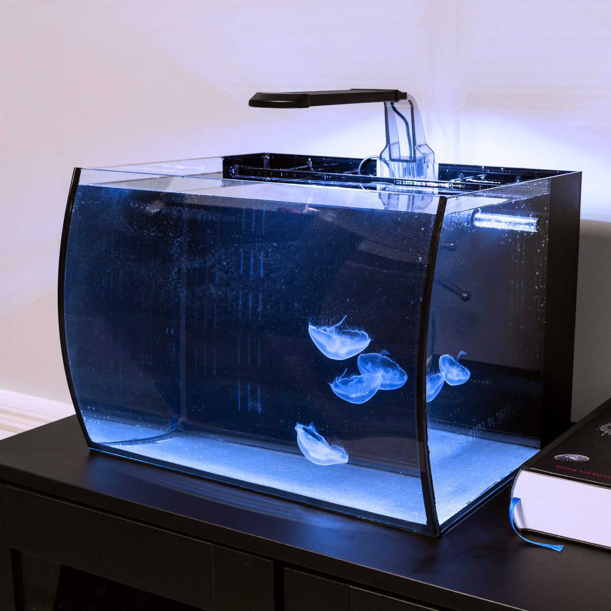 Bulk Buy China Wholesale New Small Aquarium Mini Fish Tank With