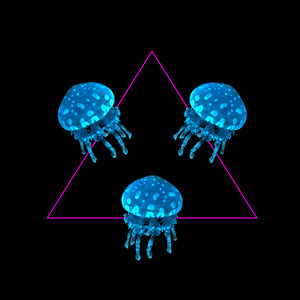 Three Lagoon Jellyfish