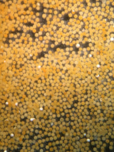 Decapsulated Brine Shrimp Eggs (100 hatches)